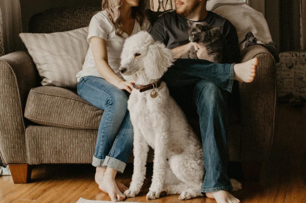 couple-sitting-on-couch-while-white-poodle-sits-in-front-of-them-and-man-holds-dark-cat=on-lap